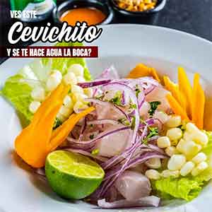 Ceviche