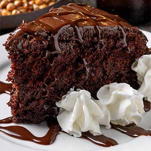 Chocolate cake dessert